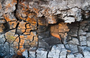 中国稀土对美出口暴涨660%，已经达成稀土和解？中方随即打破惯例