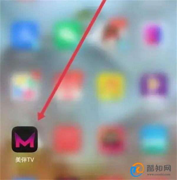 如何在美伴TV设置视频不给他人下载 美伴怎么设置不给他人下载